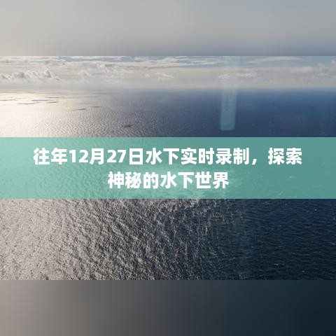 探索水下世界的神秘面纱，水下实时录制之旅