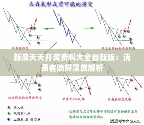 新澳天天开奖资料大全最新版：消费者偏好深度解析