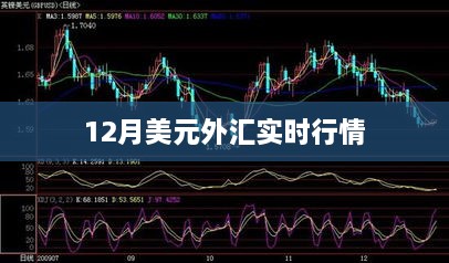 2024年12月 第5页