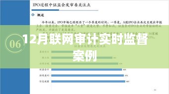 12月联网审计实时监督案例分析