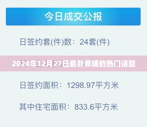 黄埔最新热门话题速递，2024年12月27日