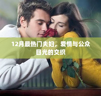 12月热门夫妇，爱情与公众目光的碰撞