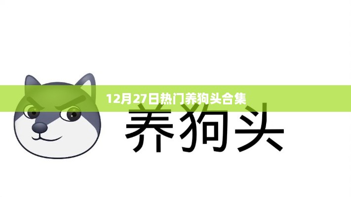 2025年1月1日 第10页