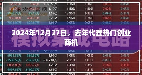 关于热门创业商机代理的机遇与挑战（时间至2024年）