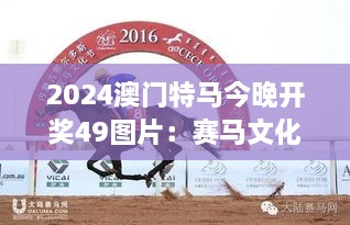 2024澳门特马今晚开奖49图片：赛马文化与摄影艺术的交融