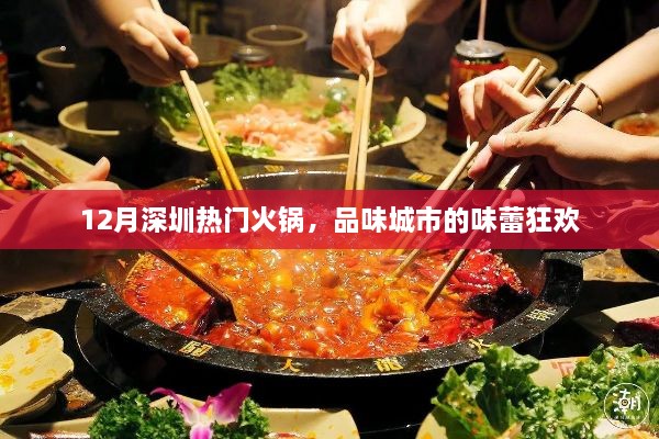 深圳冬季火锅盛宴，味蕾狂欢，美食之旅