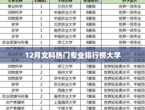 12月文科热门专业排行榜TOP大学