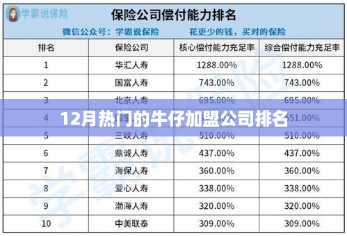 12月热门牛仔加盟公司排行榜揭晓