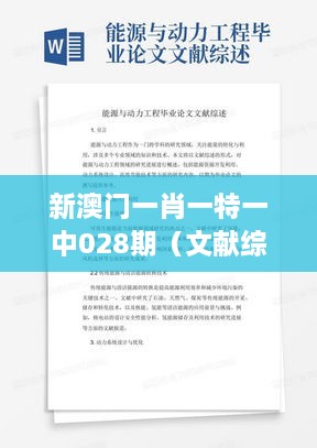 新澳门一肖一特一中028期（文献综述模板）