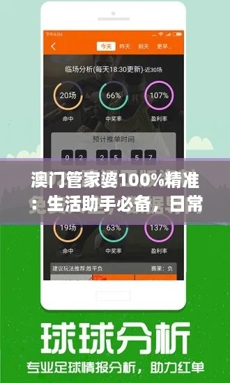 澳门管家婆100%精准：生活助手必备，日常支出计费精准把控