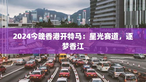 2024今晚香港开特马：星光赛道，逐梦香江