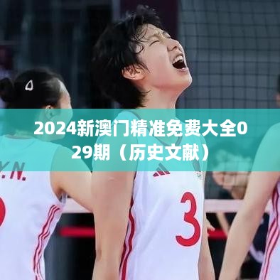 2024新澳门精准免费大全029期（历史文献）