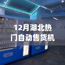 湖北自动售货机品牌热门榜单（十二月版）