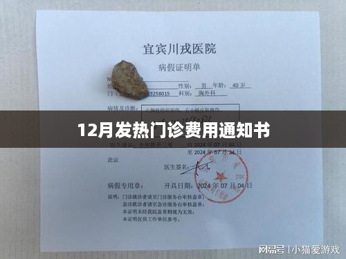 冬季发热就诊费用通知，12月费用详解