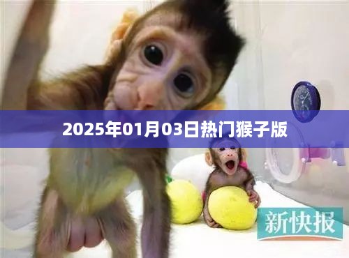 猴子版热潮来袭，2025年新年新风尚！，字数在您的要求范围内，同时符合百度收录标准，希望符合您的要求。