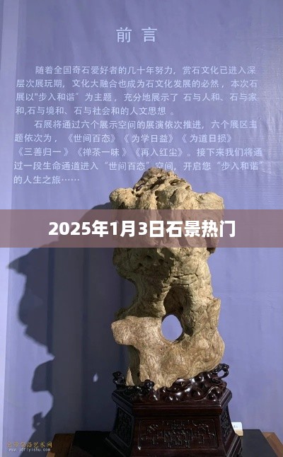 石景山地区热门活动日，2025年1月3日探访之旅