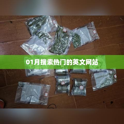 英文网站一月热门搜索榜单