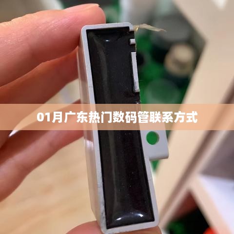 广东数码管联系方式最新大全