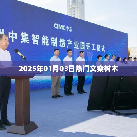 2025年元旦后热门文案，树木的诗意与生命力