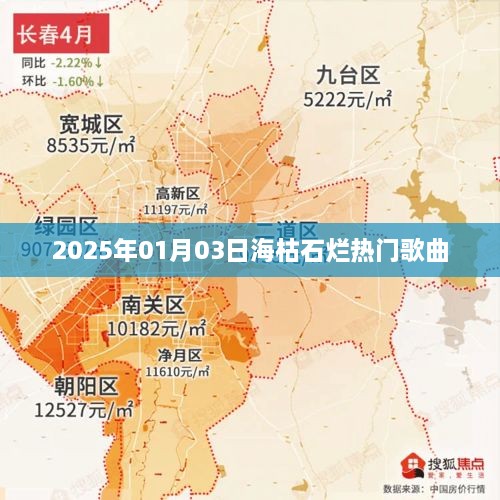 海枯石烂情歌，2025年最热流行歌曲