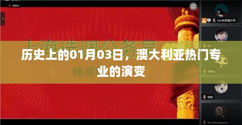 澳大利亚热门专业演变史，一月三日回顾与解析