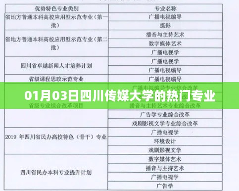 四川传媒大学热门专业解析，01月03日最新动态