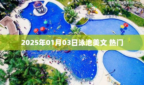 2025年泳池美文，感受水的魅力与温馨时光