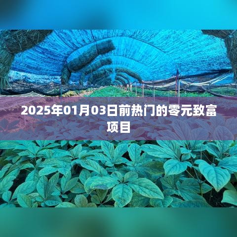 零元致富项目预测，未来热门商机到2025年