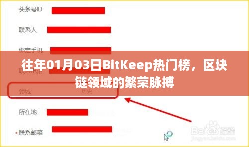 BitKeep热门榜揭示，区块链领域的繁荣脉搏（往年1月3日）