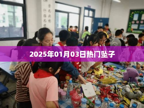 热门坠子，2025年1月3日流行趋势