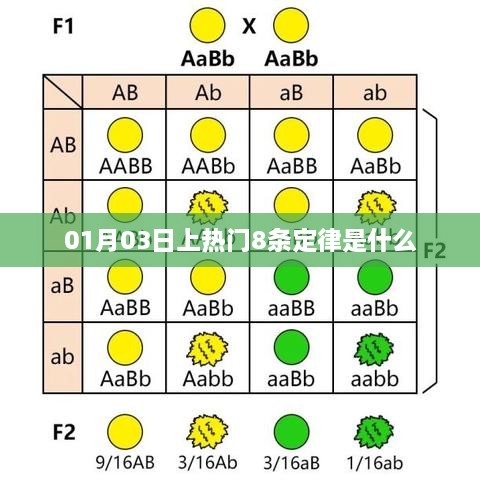 揭秘成功定律，上热门必备的八大法则！