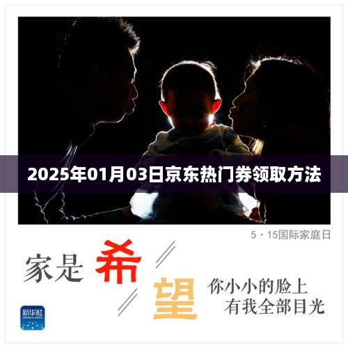 2025年京东热门券领取攻略