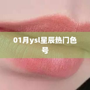 01月ysl星辰热门色号一览