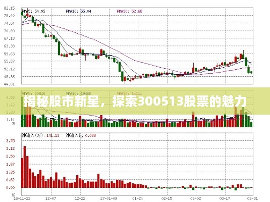 揭秘股市新星，探索300513股票的魅力