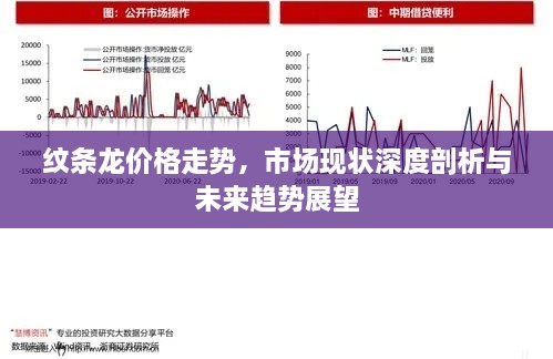 纹条龙价格走势，市场现状深度剖析与未来趋势展望