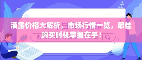 滴露价格大解析，市场行情一览，最佳购买时机掌握在手！