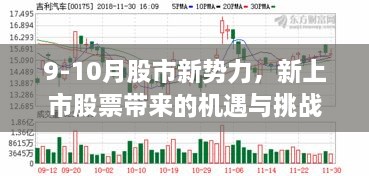 9-10月股市新势力，新上市股票带来的机遇与挑战