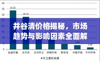 井谷清价格揭秘，市场趋势与影响因素全面解析