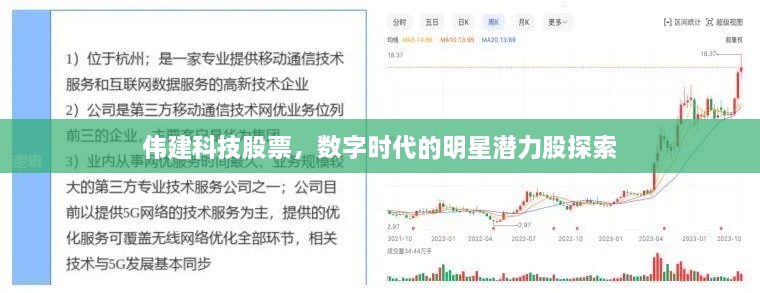 伟建科技股票，数字时代的明星潜力股探索