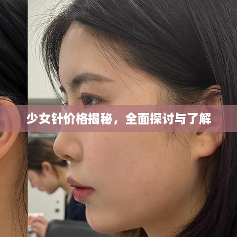 少女针价格揭秘，全面探讨与了解