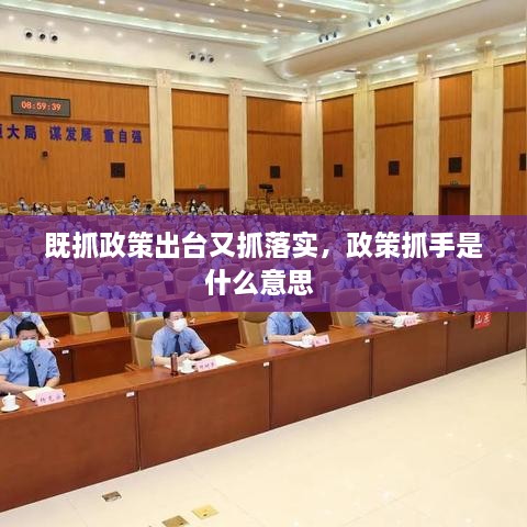 既抓政策出台又抓落实，政策抓手是什么意思 