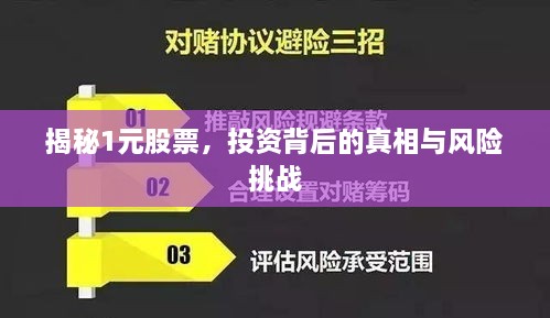 揭秘1元股票，投资背后的真相与风险挑战