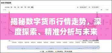 揭秘数字货币行情走势，深度探索、精准分析与未来预测