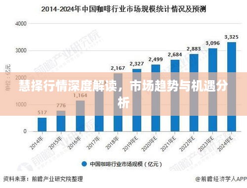 慧择行情深度解读，市场趋势与机遇分析