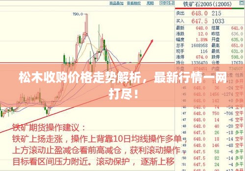 松木收购价格走势解析，最新行情一网打尽！