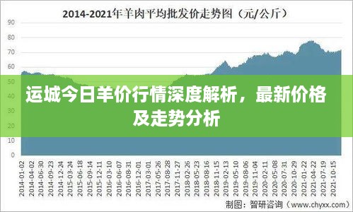 运城今日羊价行情深度解析，最新价格及走势分析