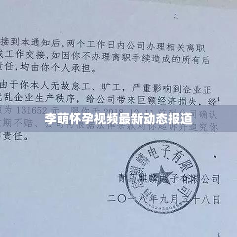 李萌怀孕视频最新动态报道