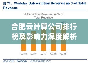 合肥云计算公司排行榜及影响力深度解析