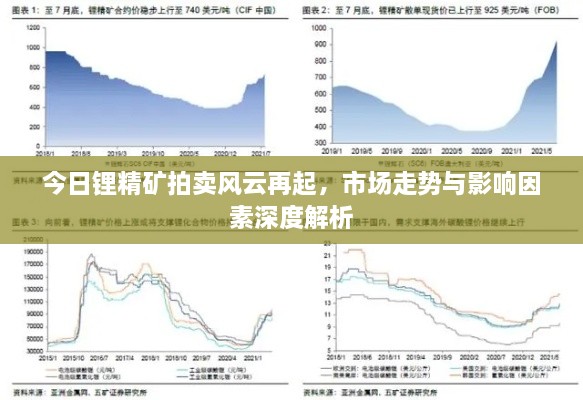 今日锂精矿拍卖风云再起，市场走势与影响因素深度解析