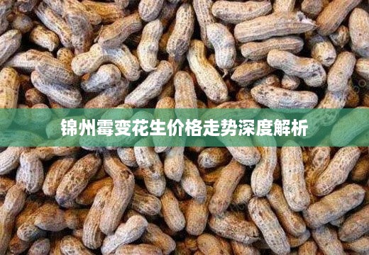 锦州霉变花生价格走势深度解析